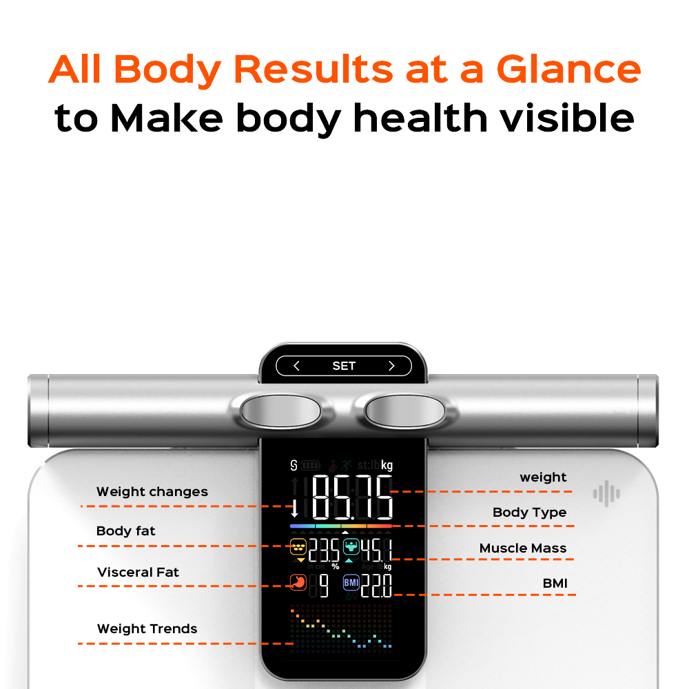 2025 New Offline Measurement F - đánh giá và giá Body Fat Scale Smart