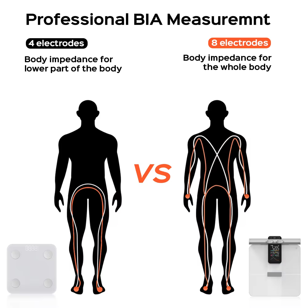 2025 New Offline Measurement F - đánh giá và giá Body Fat Scale Smart