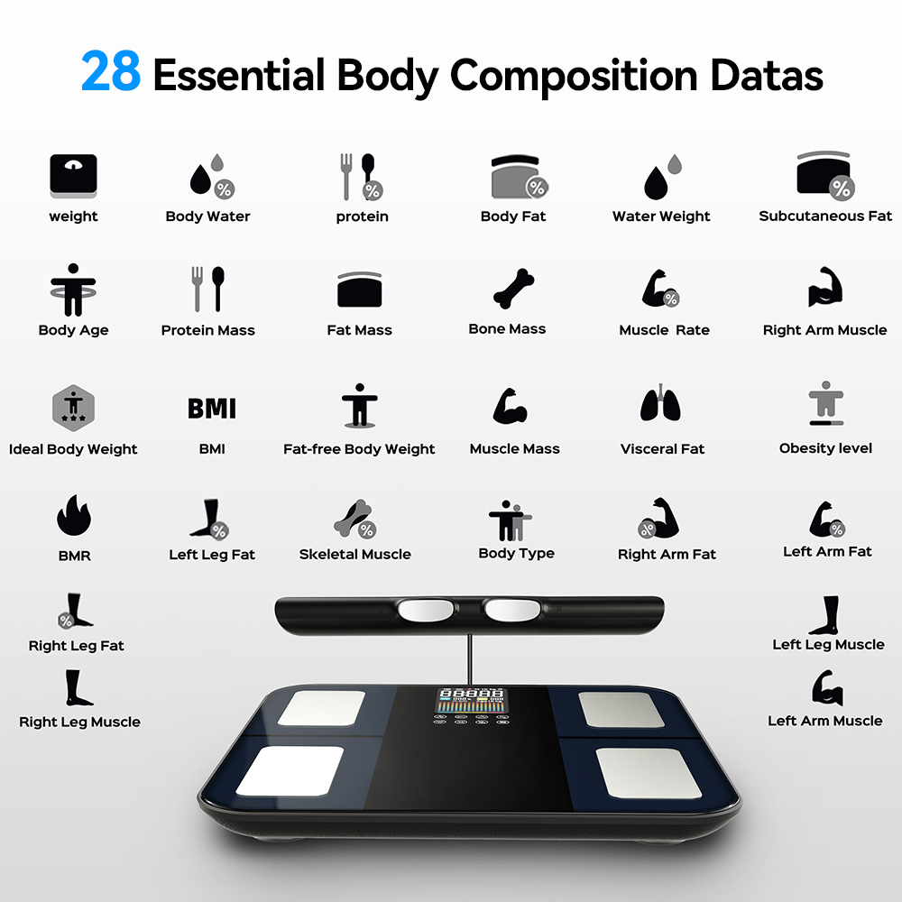 Smart Digital Body Composition - đánh giá và giá Body Fat Scale Smart
